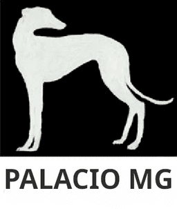 Palacio MG